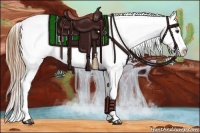Horse Color:Chestnut Blanket 