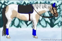 Horse Color:Bay Roan Dun Tobiano