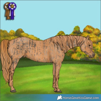 Horse Color:Red Dun Ice Brindle