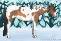 Horse Color:Buckskin Roan Tobiano Frame 
