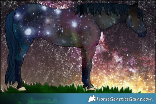 Horse Color:ERROR: UNKNOWN ANOMALY Brindle