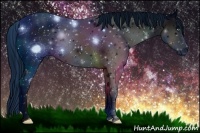 Horse Color:ERROR: UNKNOWN ANOMALY Brindle