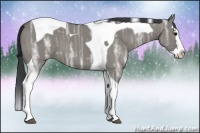 Horse Color:Grullo Ice Splash Tobiano 
