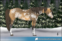 Horse Color:Buckskin Ice 