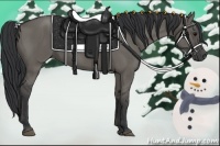 Horse Color:Grullo