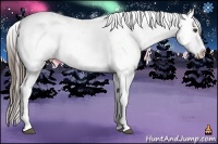 Horse Color:Liver Chestnut Appaloosa 