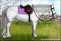Horse Color:Brown Roan Snowflake Varnish