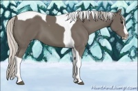 Horse Color:Silver Smoky Black Splash Tobiano 