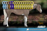 Horse Color:Silver Black Splash Tobiano 