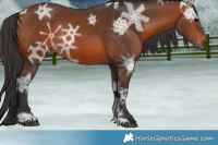 Horse Color:Brown Ice Rabicano
