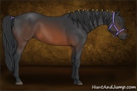 Horse Color:Brown Frame 