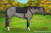 Horse Color:Grullo Roan 