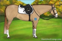 Horse Color:Red Dun Splash 