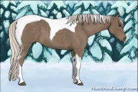 Horse Color:Silver Smoky Blue Roan Tobiano
