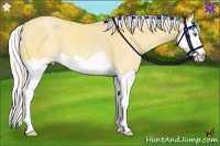 Horse Color:Silver Amber Champagne Dun Splash 