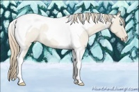 Horse Color:Smoky Creme Roan Dun Tobiano