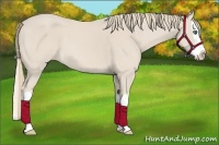 Horse Color:Smoky Creme Splash 