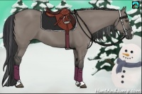 Horse Color:Grullo Sabino 