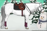 Horse Color:Black Sabino Splash