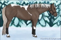 Horse Color:Silver Black Tobiano
