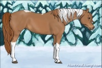 Horse Color:Chestnut Tobiano 