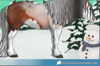 Horse Color:Brown Splash