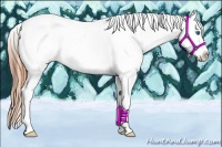 Horse Color:Classic Champagne Roan Dun Splash Tobiano Appaloosa