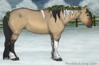 Horse Color:Bay Dun Tobiano 