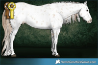Horse Color:White Spotted Black Pearl Sabino Splash Rabicano 