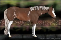 Horse Color:White Spotted Silver Brown