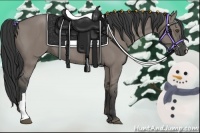 Horse Color:Grullo 