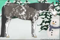 Horse Color:Grullo Sabino Splash 