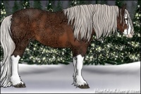Horse Color:Silver Bay Ice Splash 
