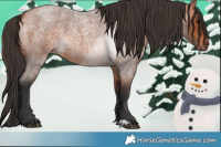 Horse Color:Brown Roan