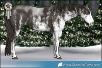 Horse Color:White Spotted Liver Chestnut 