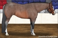 Horse Color:Bay Roan Sabino