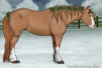 Horse Color:Chestnut Splash 