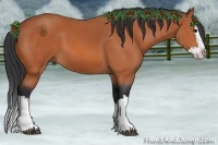 Horse Color:Bay Splash 