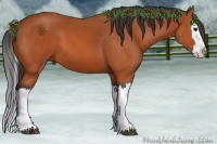 Horse Color:Bay Splash 