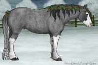 Horse Color:Blue Roan Splash 