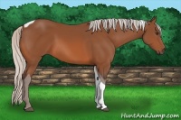 Horse Color:Silver Bay Tobiano