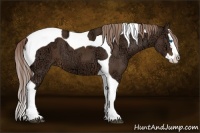 Horse Color:Liver Chestnut Ice Splash Tobiano 