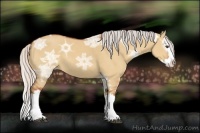 Horse Color:Silver Bay Ice Dun Splash 