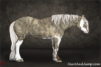 Horse Color:Silver Classic Champagne Ice Dun Splash Frame 