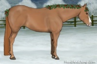 Horse Color:Chestnut Splash 