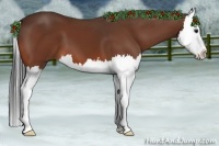 Horse Color:Bay Splash 