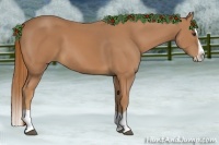 Horse Color:Chestnut Splash 