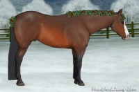 Horse Color:Bay Splash