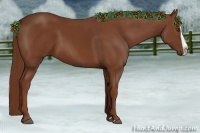 Horse Color:Chestnut Splash