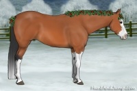 Horse Color:Bay Splash 